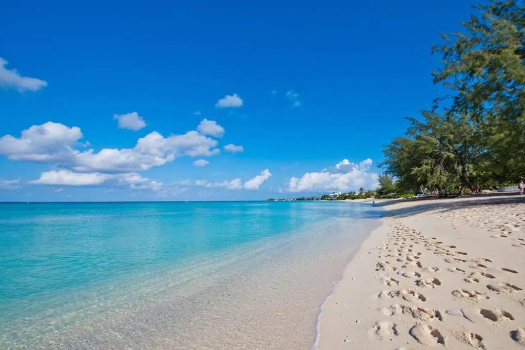 Luxury Ocean Front Seadreams 2 With 7 Mile Beach Views West Bay Buitenkant foto
